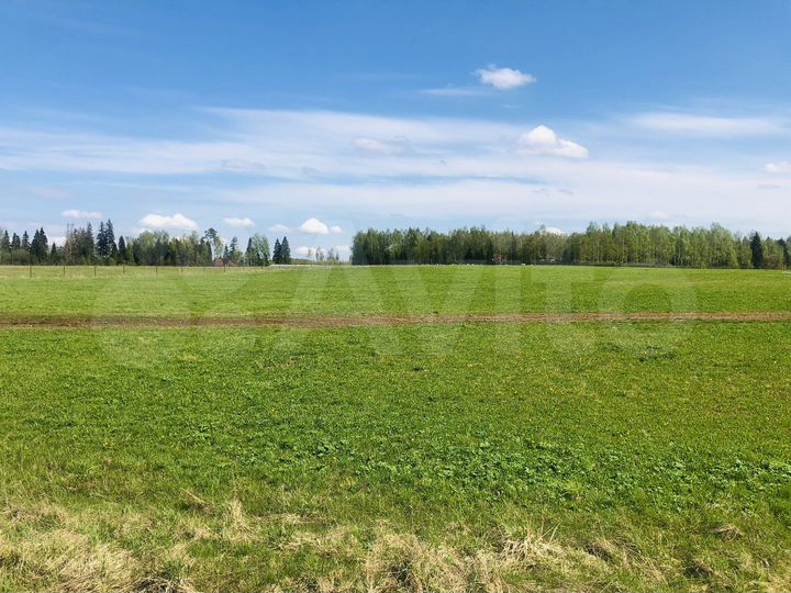 Участок 2,5 га (СНТ, ДНП)