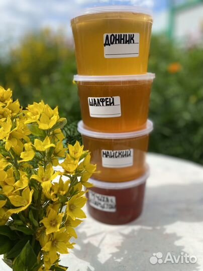 Белгородский мед