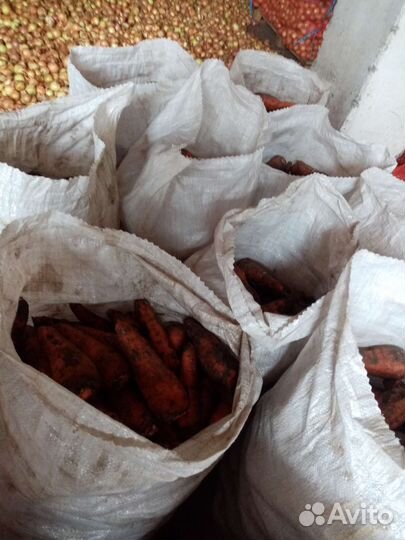 Продам картофель и лук