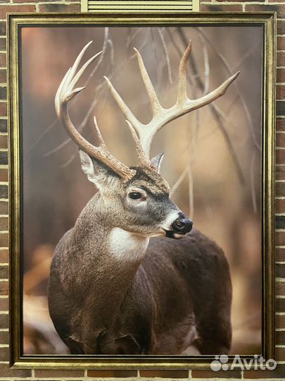 Продаю картины,русская охота