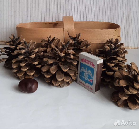 Корзинка с шишками