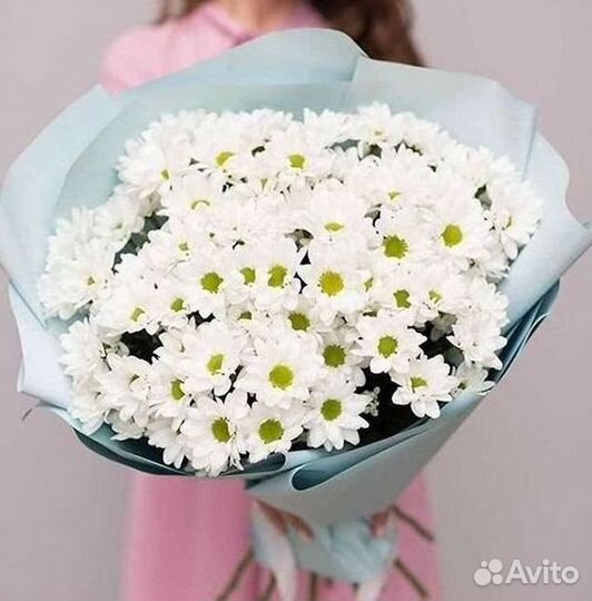 Хризантема Букет хризантем Доставка