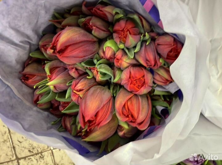 Тюльпаны крупные желтые голландские оптом в Москве