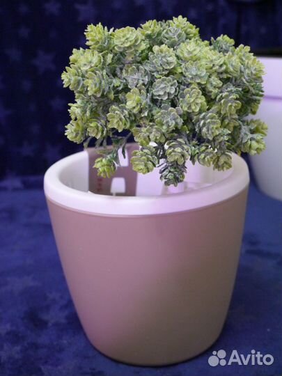 Кашпо с автополивом (5 л)