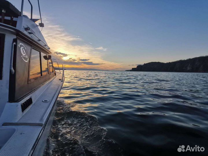 Морские прогулки на катере