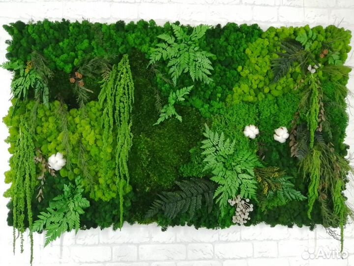 Мох стабилизированный оптом и в розницу