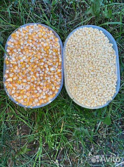 Кукуруза в (гранулах)
