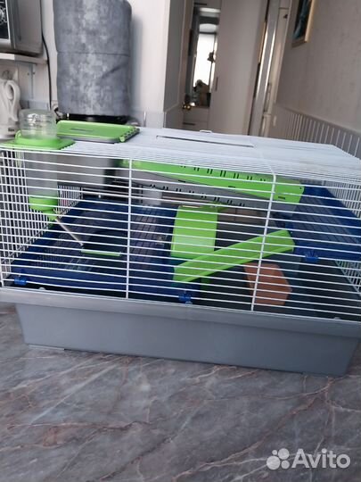 Клетка для грызунов бу