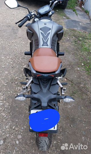 Regulmoto Alien Monster 300