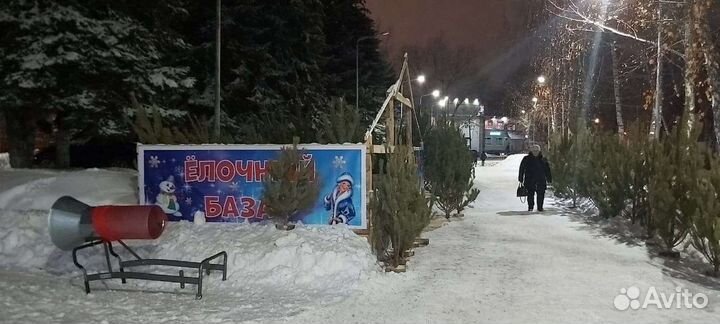 Новогодние елки сосны