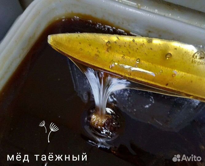 Мёд горного Алтая прямые поставки в Москву