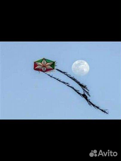 Летучий змей