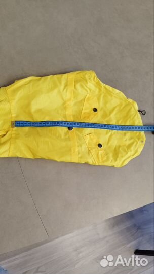 Одежда для собак