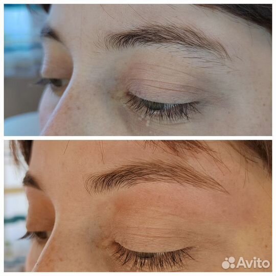 Мастер бровист