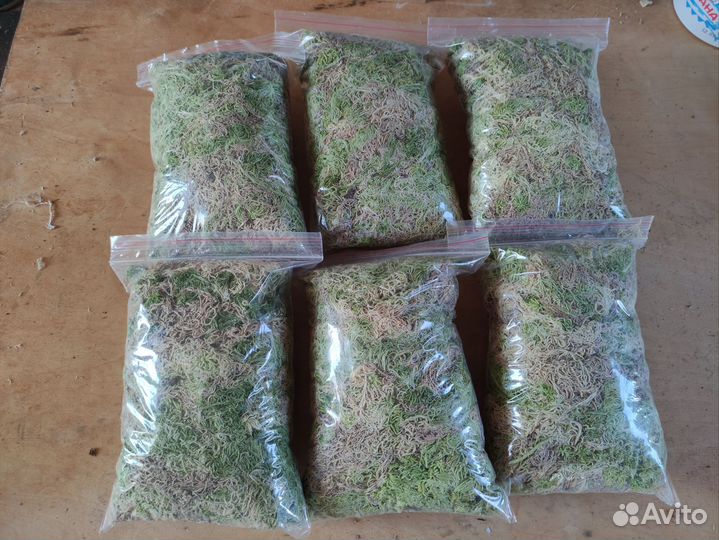 Субстрат для растений мох сфагнум