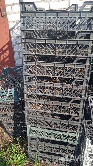 Пластиковые ящики бу