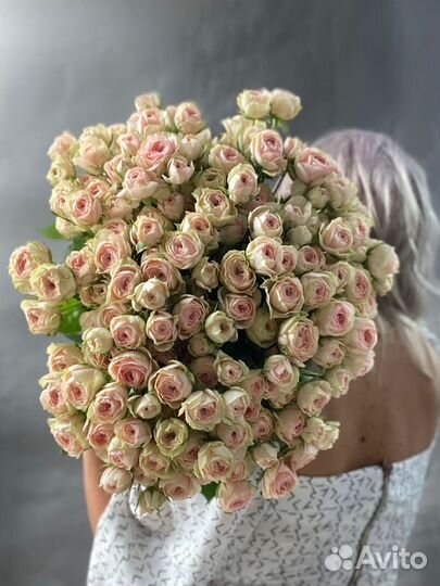 Роза кустовая пионовидная