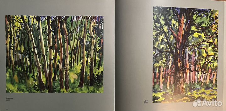 Книга Фотоальбом Художник Стасюк