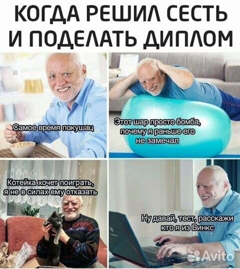 Диплом / курсовая / диссертация / ВКР