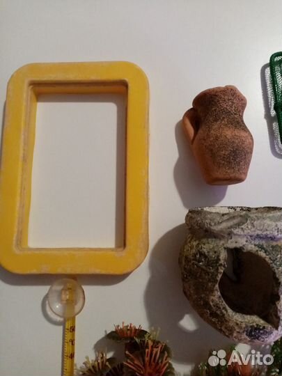 Креветки жёлтые, Теодоксусы