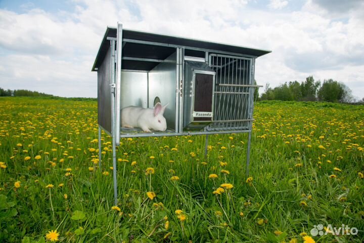 Крольчатник 