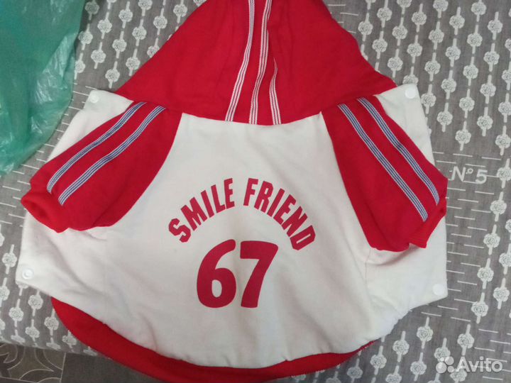 Одежда для собак мелких пород