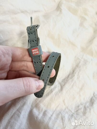 Ошейник для собак