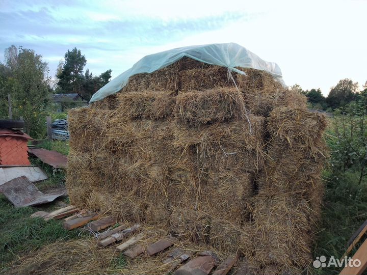 Сено в тюках
