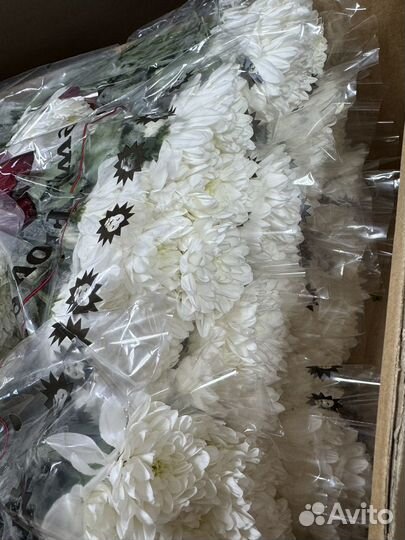 Розы на День матери