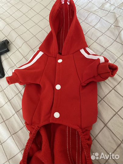 Товары для животных