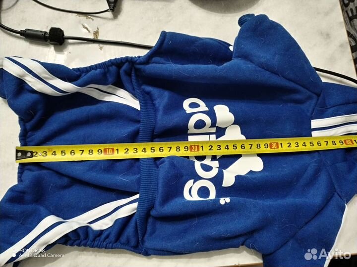 Одежда для собак