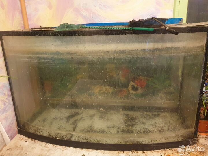 Аквариум 200л б/у с пр. необходимым
