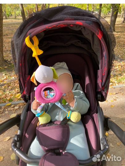 Коляска anex sport 2 в 1