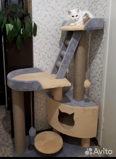 Домики, комплексы,когтеточки для кошек, выс.1,3м