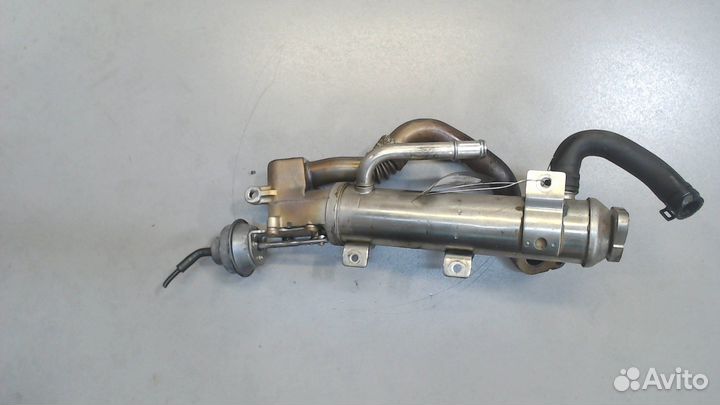 Охладитель отработанных газов Audi A4 (B8) Allroad