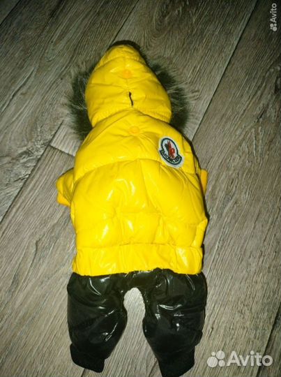 Комбинезон для маленькой собаки