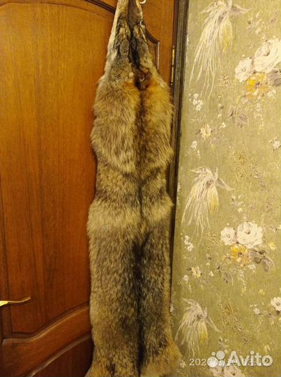 Шкура волка