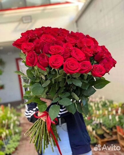 Розы Цветы Букеты 25 151 201 101 301 501 опт