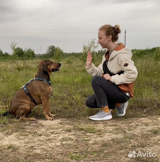 Зоопсихолог Кинолог Специалист по поведению