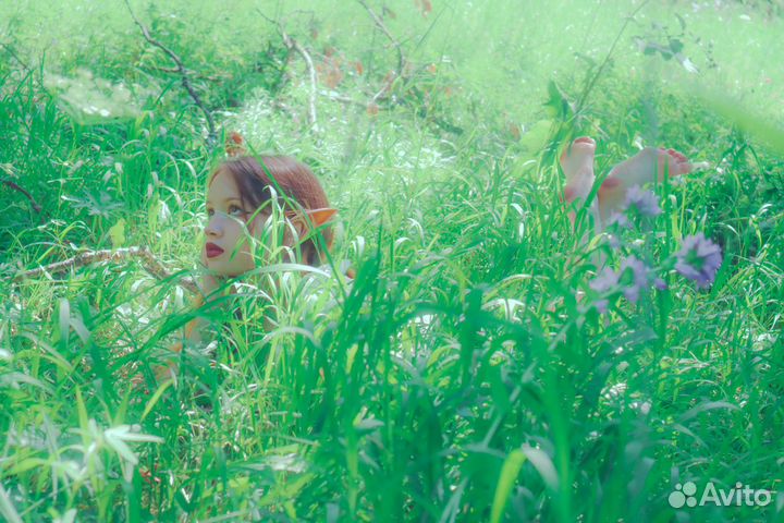 Фотограф и видеограф