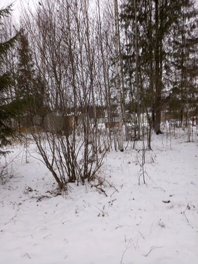 Участок 9,4 сот. (СНТ, ДНП)