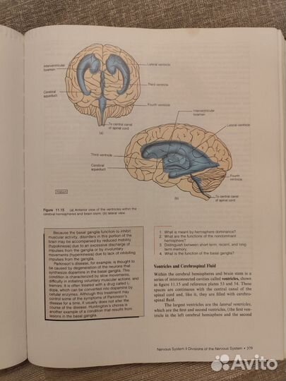 John W. Hole. Human Anatomy and Physiology