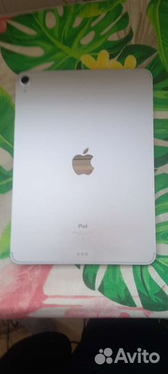 iPad pro 11 cellular