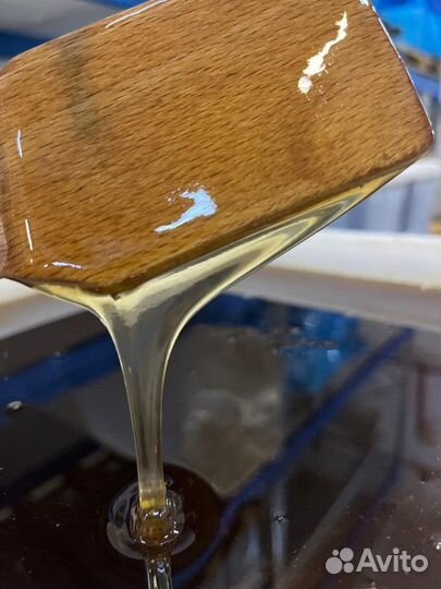 Натуральный мёд разнотравье(темное). 2023г. Опт