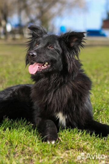 Молодой и уже узник приюта