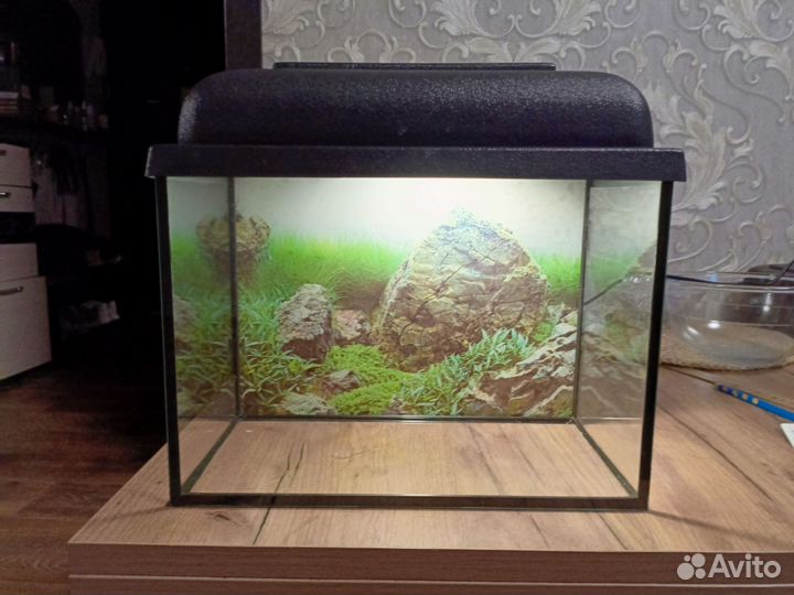 Аквариум 15л со всем необходимым