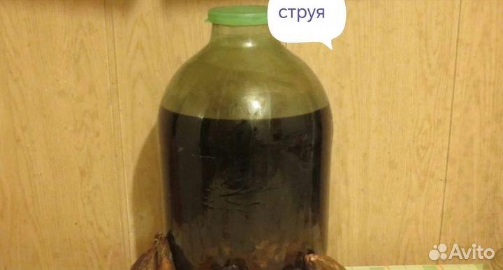 Красота и здоровье