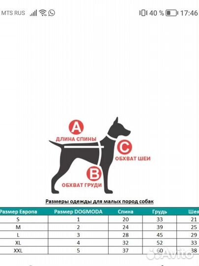 Дождевик для собак