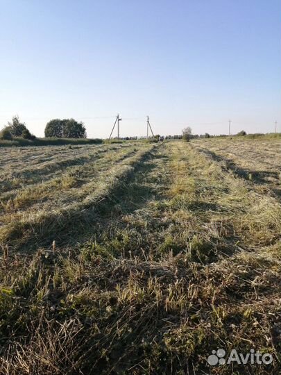 Сено. Солома