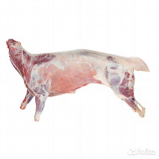 Баранина курдючная